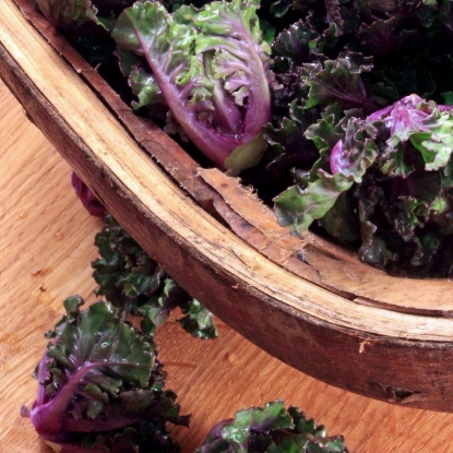 Picture of Flower Sprout Petit Posi